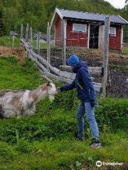 Tromsø Mini Zoo