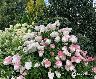 Dendrologic Park of Bulduri Gardening College