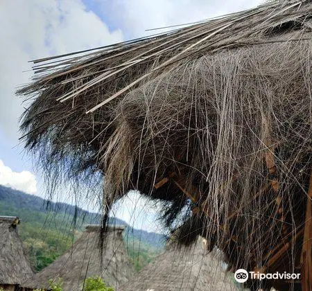 Wologai Traditional Village