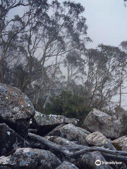 Cathedral Rock Wellington Park