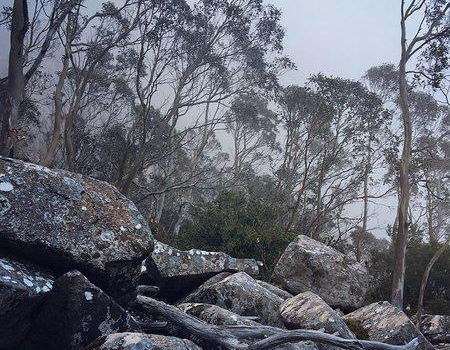 Cathedral Rock Wellington Park