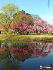 古河公方公園 (古河總合公園)