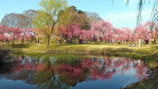 古河公方公園 (古河總合公園)