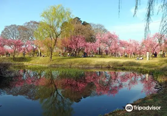 Koga Kubo Park