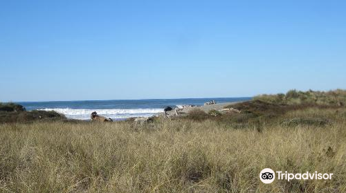 Tolowa Dunes State Park