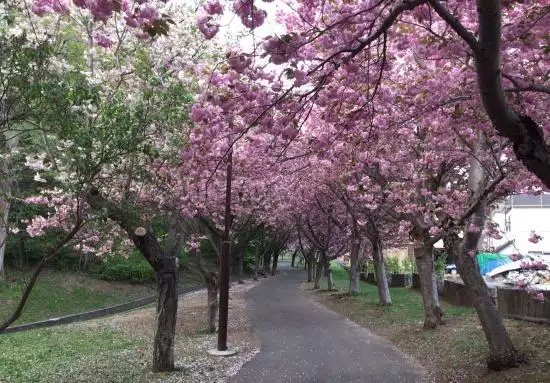 โรงแรมใกล้Nishino Green Road