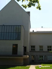 Dum Umeni Mesta Brna / The Brno House of Arts