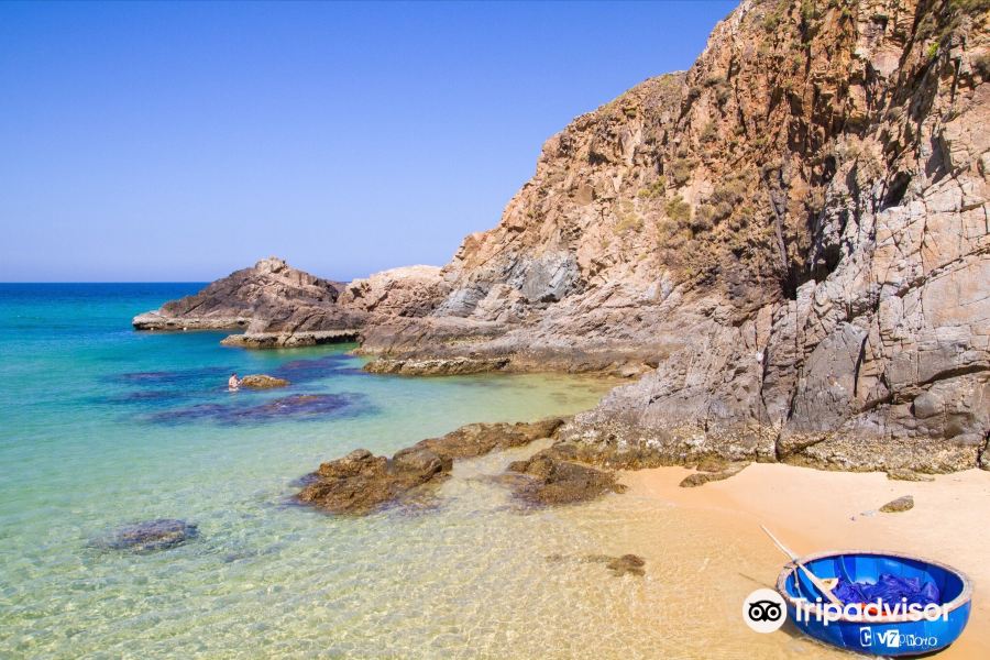 Edinburgh to Quy Nhon Flights