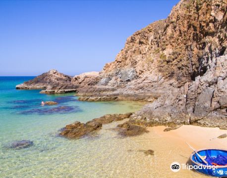 歸仁 自由行套票