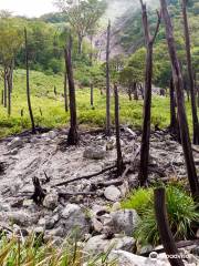 Cuernos de Negros