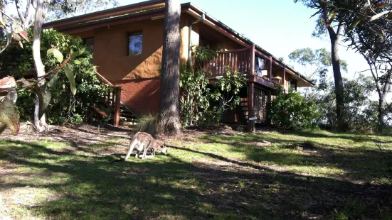 Jhana Grove Meditation Retreat Centre