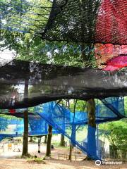 Treetop Nets