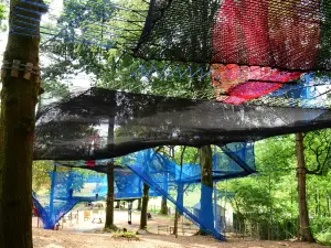 Treetop Nets