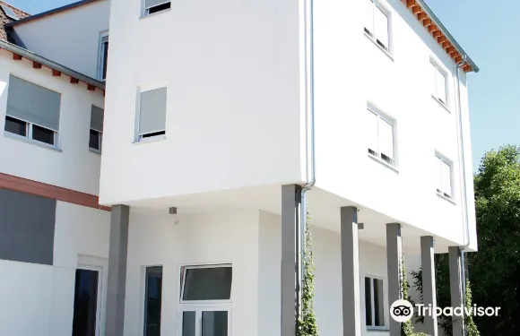 阿沙芬堡米爾切霍夫公寓酒店