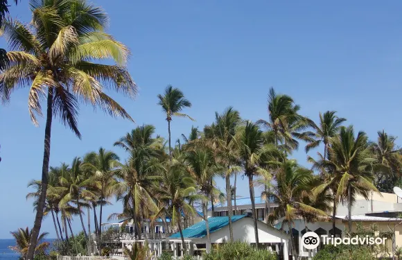 科摩羅莫羅尼金鬱金香水療度假村