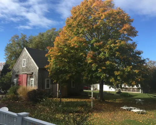 Sea Meadow Inn Hotels in Brewster