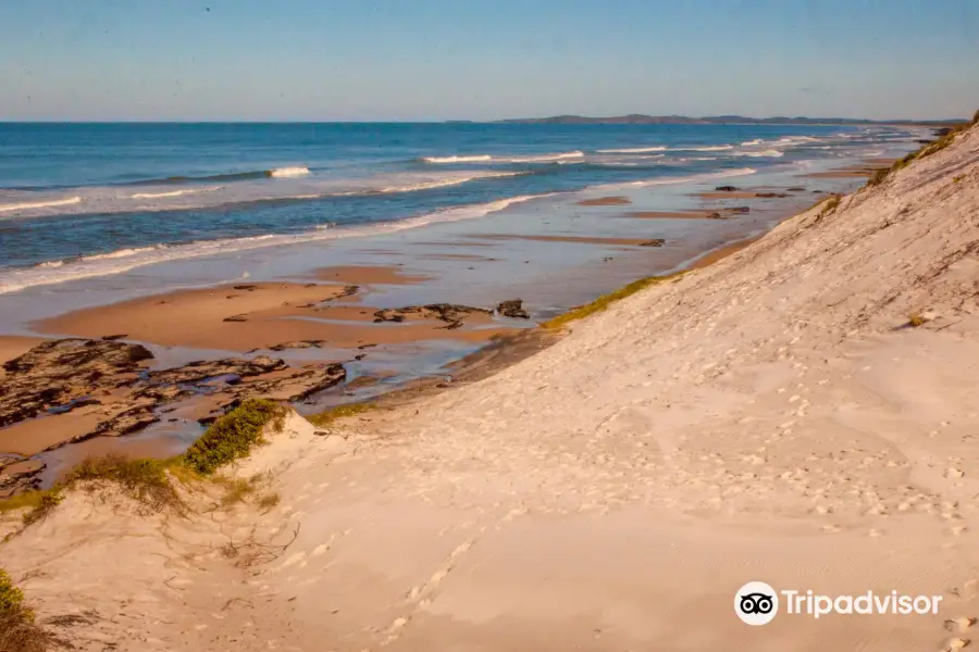 Broadwater National Park