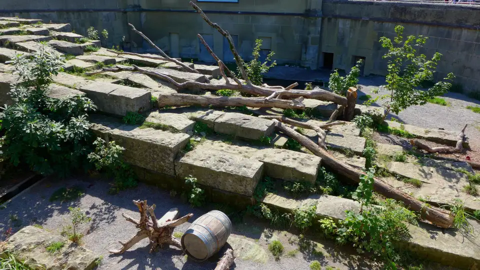 4_BearPark