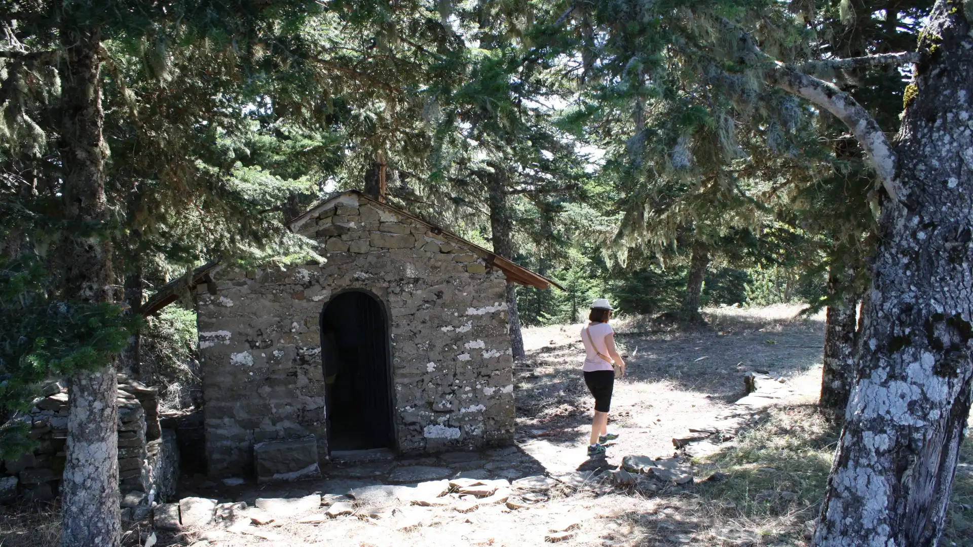 鄰近伊利亞修道院的酒店