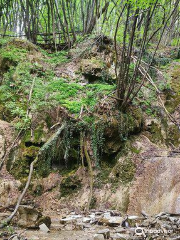 Bucamante Waterfalls