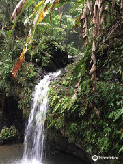 Cascada Juan Diego