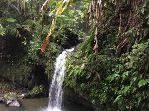 Juan Diego Falls