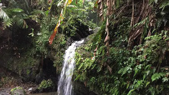 Juan Diego Falls