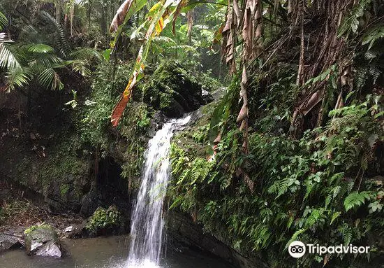 Juan Diego Falls