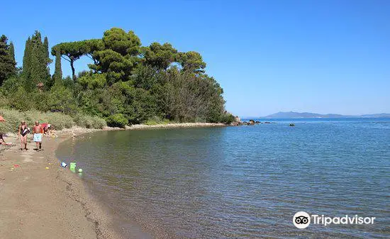 Bagni di Domiziano