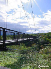Tsutsuji Suspension Bridge
