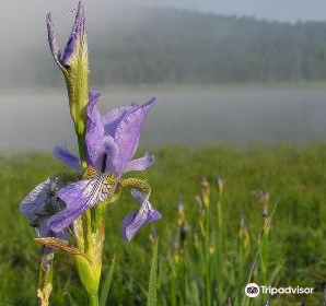 Eco-museum of the Pivka intermittent lakes