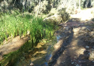 Paralana Radioactive Hot Springs