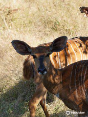 Lusaka National Park