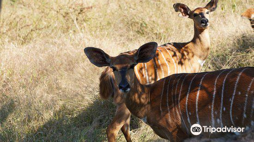 Lusaka National Park