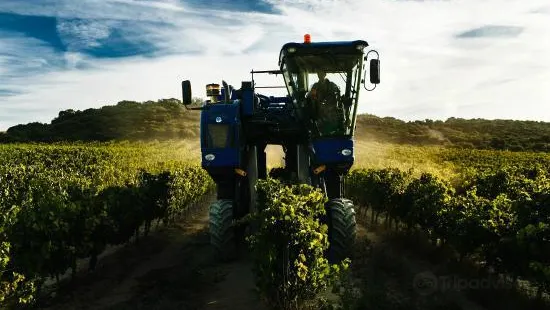 Bodegas Ochoa