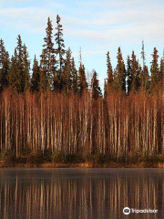 Chena River State Recreation Area