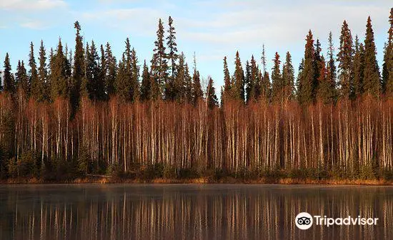 Chena River State Recreation Area