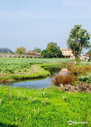 Isola di Sant'Erasmo