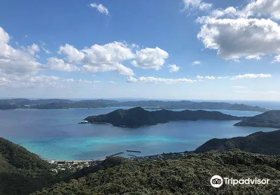 奄美群島国立公園ビジターセンター 奄美自然観察の森