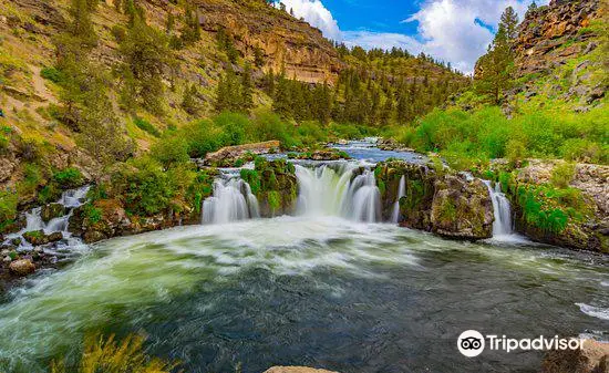 Steelhead Falls