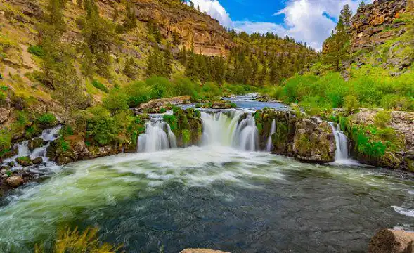 Hotels in Jefferson County