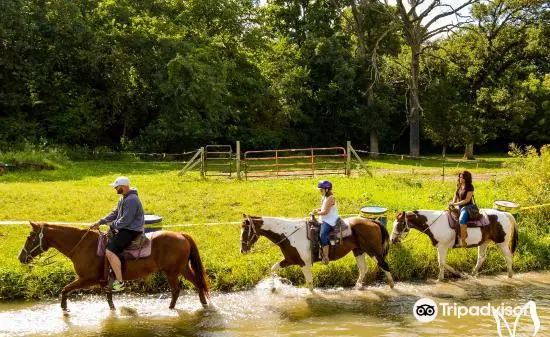 Cedar Creek Ranch