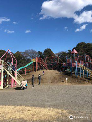 Oyama Comprehensive Park