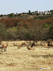 Moreleta Kloof Nature Reserve