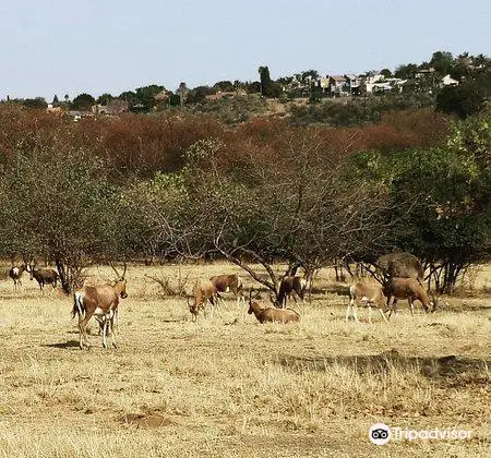 Moreleta Kloof Nature Reserve