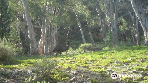 Mount Remarkable National Park