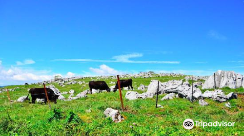 Shikoku Karst Onogahara