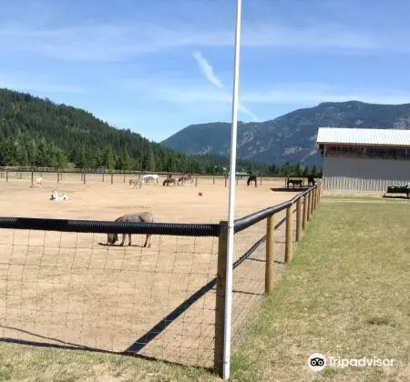 Turtle Valley Donkey Refuge