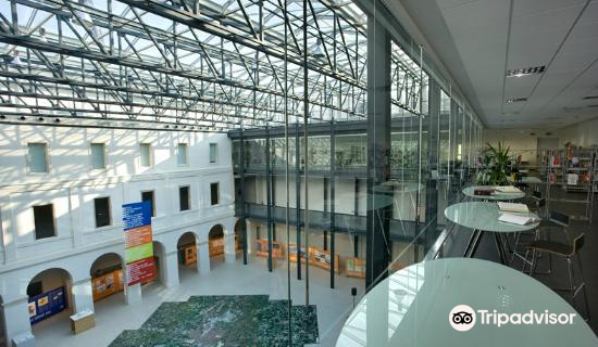 Cultural Center Altinate San Gaetano