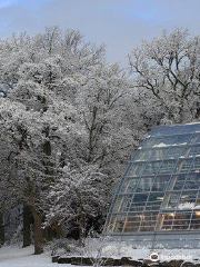 Jardín Botánico de Turku